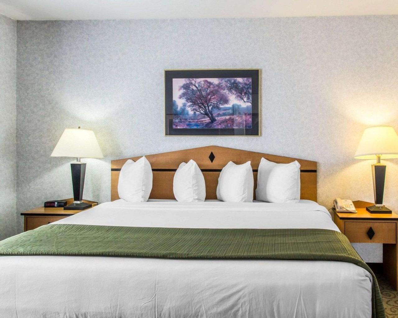 Quality Inn & Suites Denver Airport - Gateway Park آرورا المظهر الخارجي الصورة